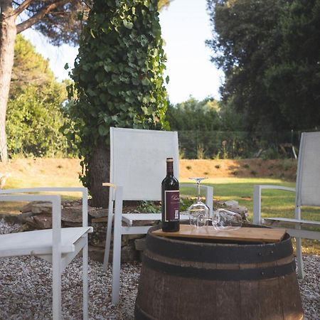 Podere San Filippo B&B-Apartment-Pet Friendly-Rent Bike And Bike Friendly Біббона Екстер'єр фото