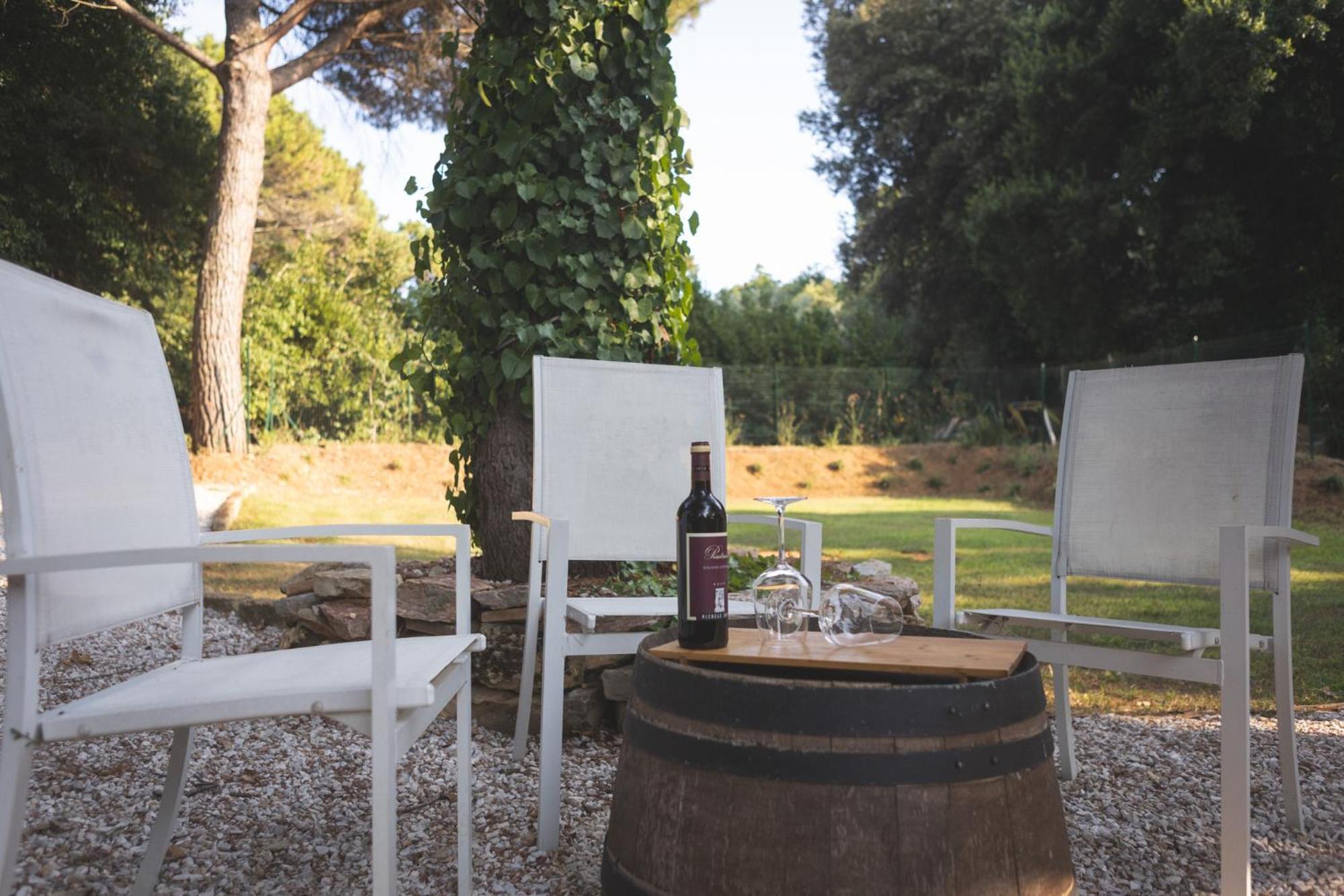 Podere San Filippo B&B-Apartment-Pet Friendly-Rent Bike And Bike Friendly Біббона Екстер'єр фото